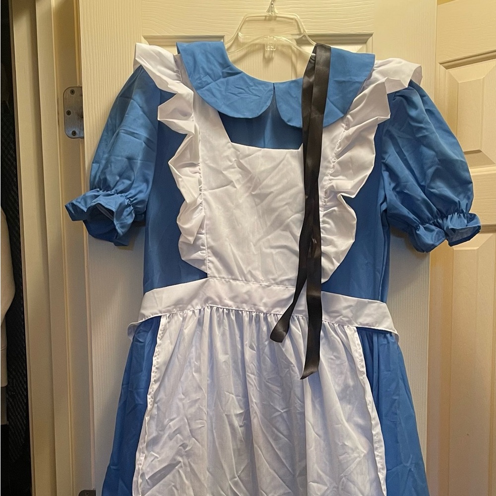 Alice in Wonderland costume